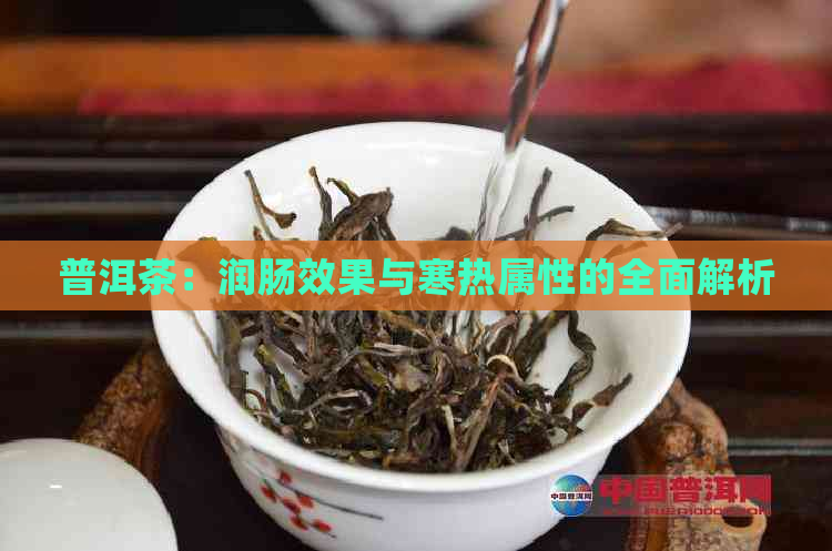 普洱茶：润肠效果与寒热属性的全面解析