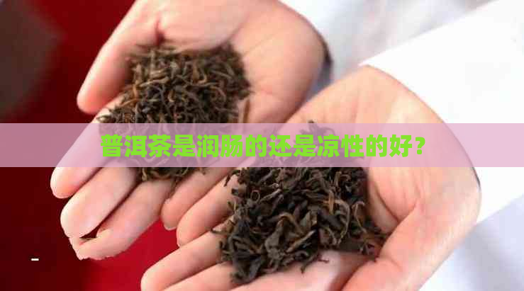 普洱茶是润肠的还是凉性的好？