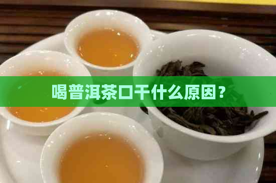 喝普洱茶口干什么原因？