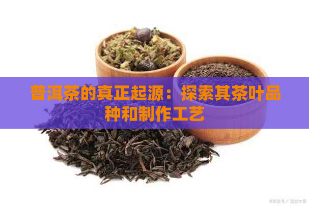 普洱茶的真正起源：探索其茶叶品种和制作工艺