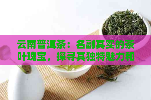 云南普洱茶：名副其实的茶叶瑰宝，探寻其独特魅力和文化底蕴