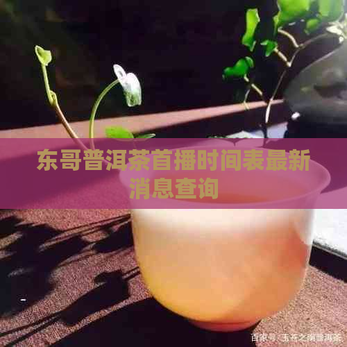 东哥普洱茶首播时间表最新消息查询