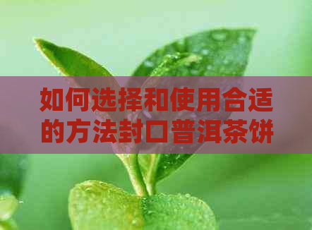 如何选择和使用合适的方法封口普洱茶饼，确保其品质和保存期限？