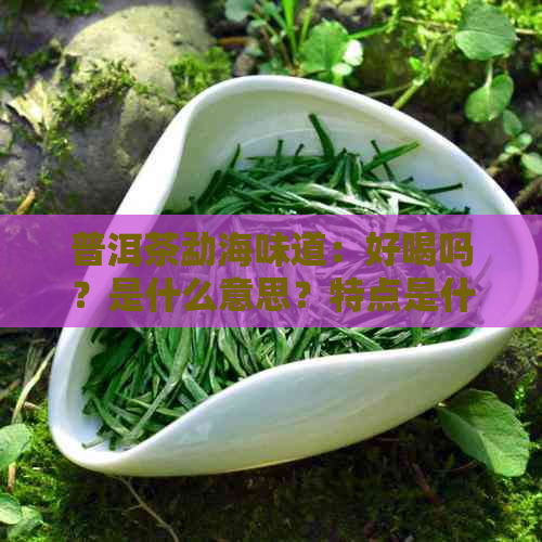 普洱茶勐海味道：好喝吗？是什么意思？特点是什么？