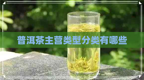 普洱茶主营类型分类有哪些