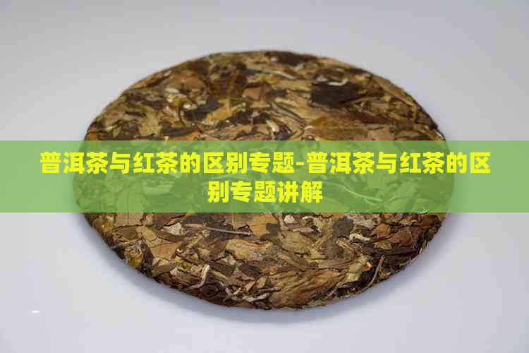 普洱茶与红茶的区别专题-普洱茶与红茶的区别专题讲解