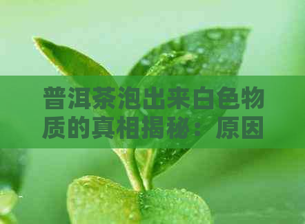 普洱茶泡出来白色物质的真相揭秘：原因、作用与鉴别方法