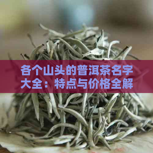 各个山头的普洱茶名字大全：特点与价格全解析