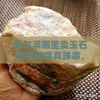 哈尔滨哪里卖玉石首饰和保真珠串，价格便宜？