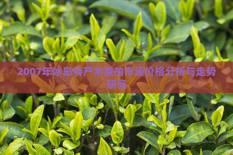 2007年冰岛特产木茶的市场价格分析与走势研究