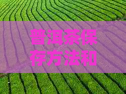 普洱茶保存方法和有效期：如何确保喝剩的普洱茶仍然安全可饮？