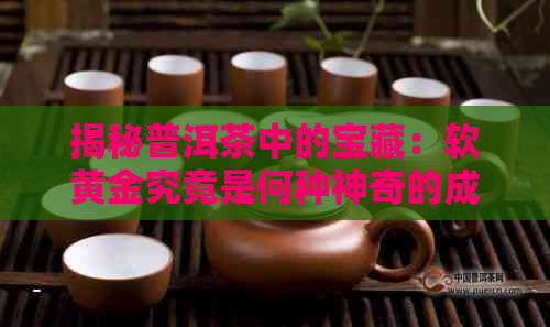 揭秘普洱茶中的宝藏：软黄金究竟是何种神奇的成分？