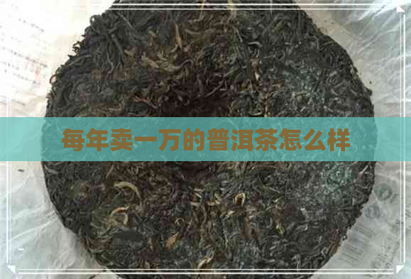 每年卖一万的普洱茶怎么样