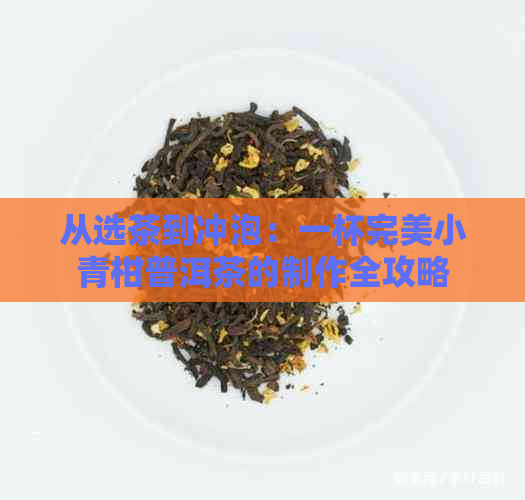 从选茶到冲泡：一杯完美小青柑普洱茶的制作全攻略