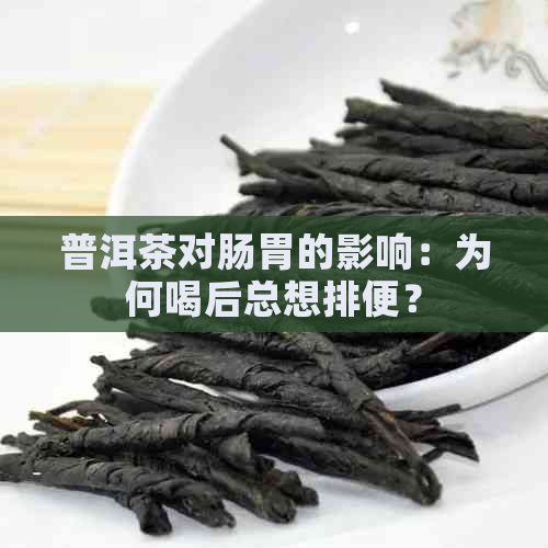 普洱茶对肠胃的影响：为何喝后总想排便？