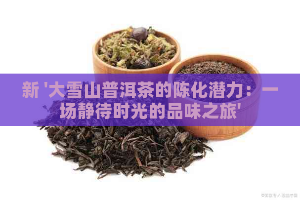 新 '大雪山普洱茶的陈化潜力：一场静待时光的品味之旅'