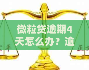 微粒贷逾期4天怎么办？逾期后如何恢复信用及解决办法全面解析