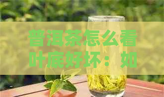 普洱茶怎么看叶底好坏：如何辨别普洱茶叶底的质量