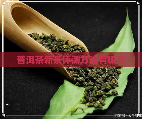 普洱茶新茶评测方法有哪些