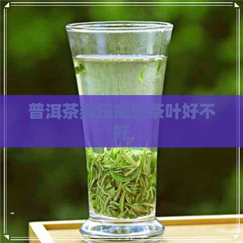 普洱茶蒸压成型茶叶好不好