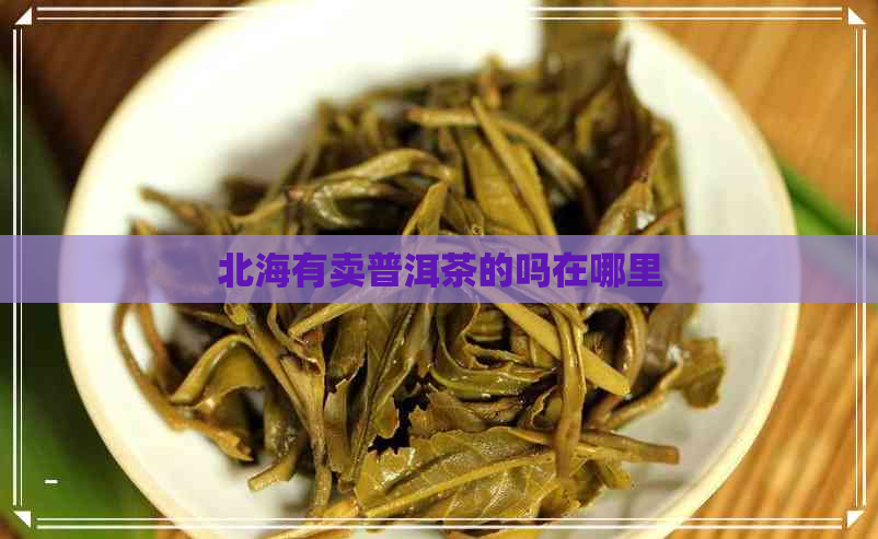 北海有卖普洱茶的吗在哪里