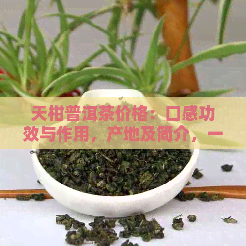 天柑普洱茶价格：口感功效与作用，产地及简介，一文解析