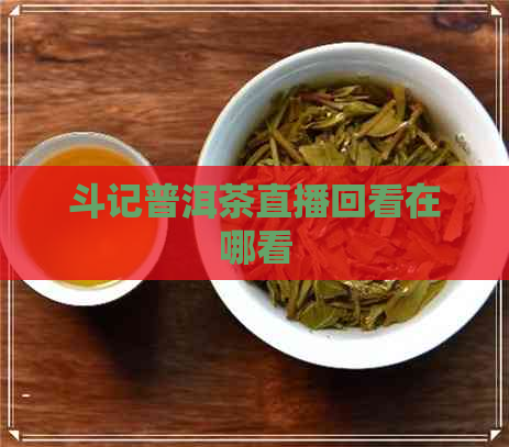 斗记普洱茶直播回看在哪看