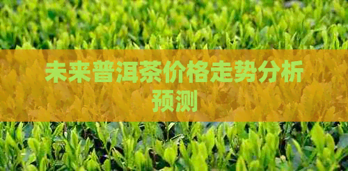 未来普洱茶价格走势分析预测