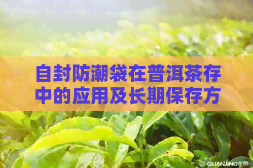 自封防潮袋在普洱茶存中的应用及长期保存方法探讨