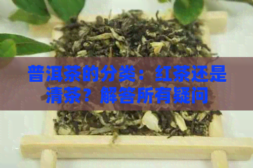 普洱茶的分类：红茶还是清茶？解答所有疑问