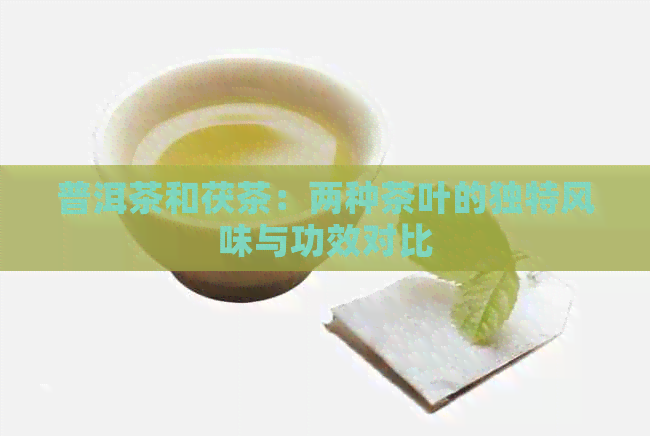 普洱茶和茯茶：两种茶叶的独特风味与功效对比