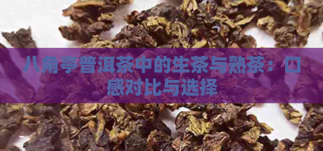 八角亭普洱茶中的生茶与熟茶：口感对比与选择