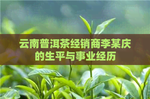 云南普洱茶经销商李某庆的生平与事业经历