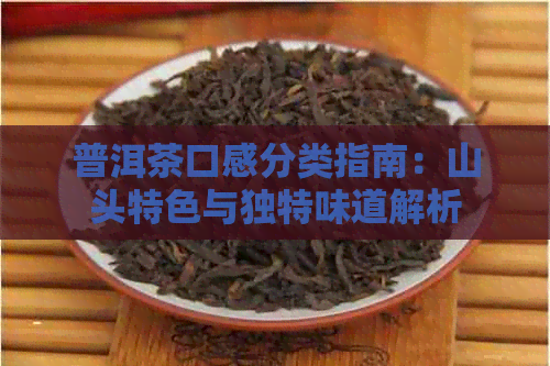 普洱茶口感分类指南：山头特色与独特味道解析