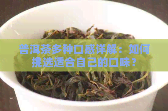 普洱茶多种口感详解：如何挑选适合自己的口味？