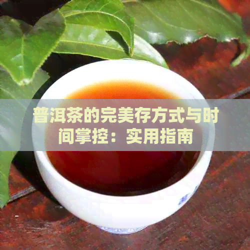 普洱茶的完美存方式与时间掌控：实用指南