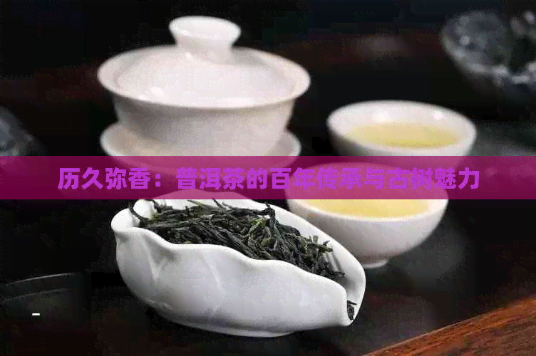 历久弥香：普洱茶的百年传承与古树魅力