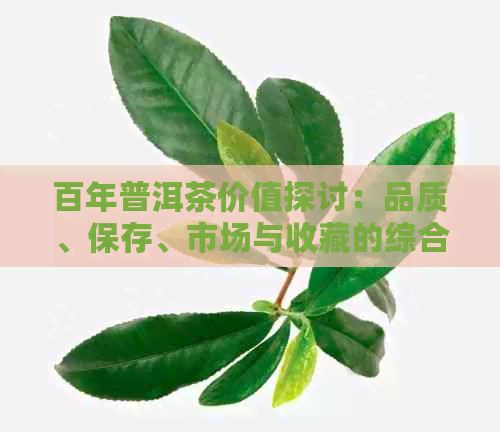 百年普洱茶价值探讨：品质、保存、市场与收藏的综合分析