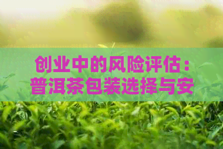 创业中的风险评估：普洱茶包装选择与安全性考量