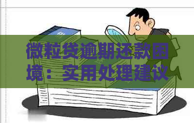 微粒贷逾期还款困境：实用处理建议与解决策略