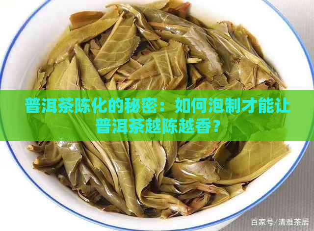 普洱茶陈化的秘密：如何泡制才能让普洱茶越陈越香？