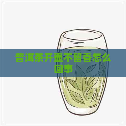 普洱茶开壶不留香怎么回事