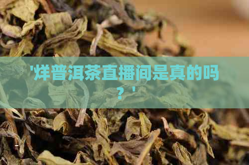 '烊普洱茶直播间是真的吗？'