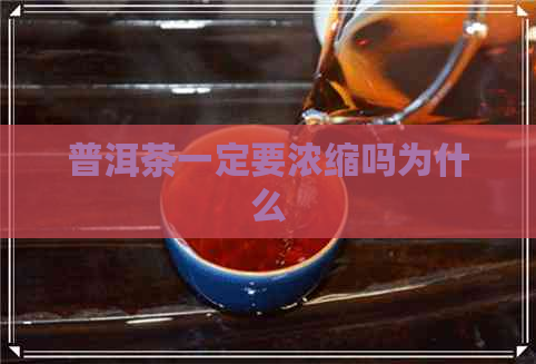 普洱茶一定要浓缩吗为什么