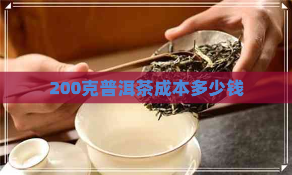 200克普洱茶成本多少钱