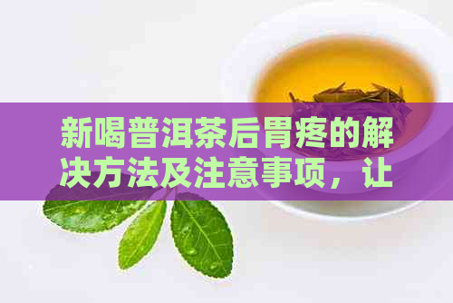 新喝普洱茶后胃疼的解决方法及注意事项，让你喝茶更健！