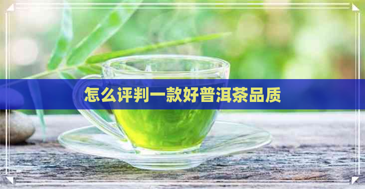 怎么评判一款好普洱茶品质