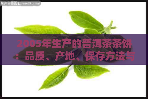 2005年生产的普洱茶茶饼：品质、产地、保存方法与品饮技巧的全面解析