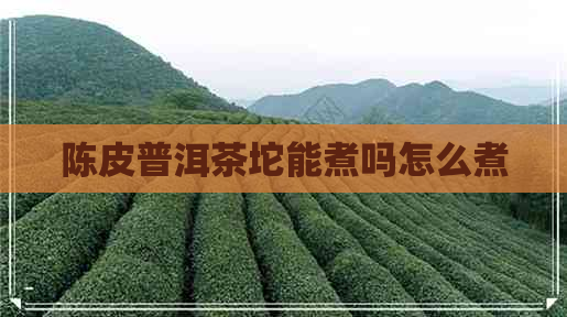 陈皮普洱茶坨能煮吗怎么煮