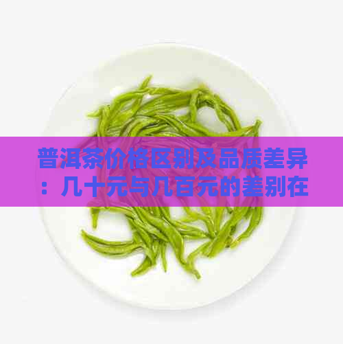 普洱茶价格区别及品质差异：几十元与几百元的差别在哪儿？